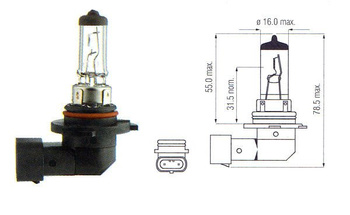Halogen Bulb H10 Clear 12V 42W